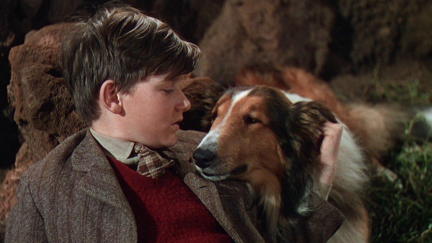 Lassie Come Home 1943 movie scene