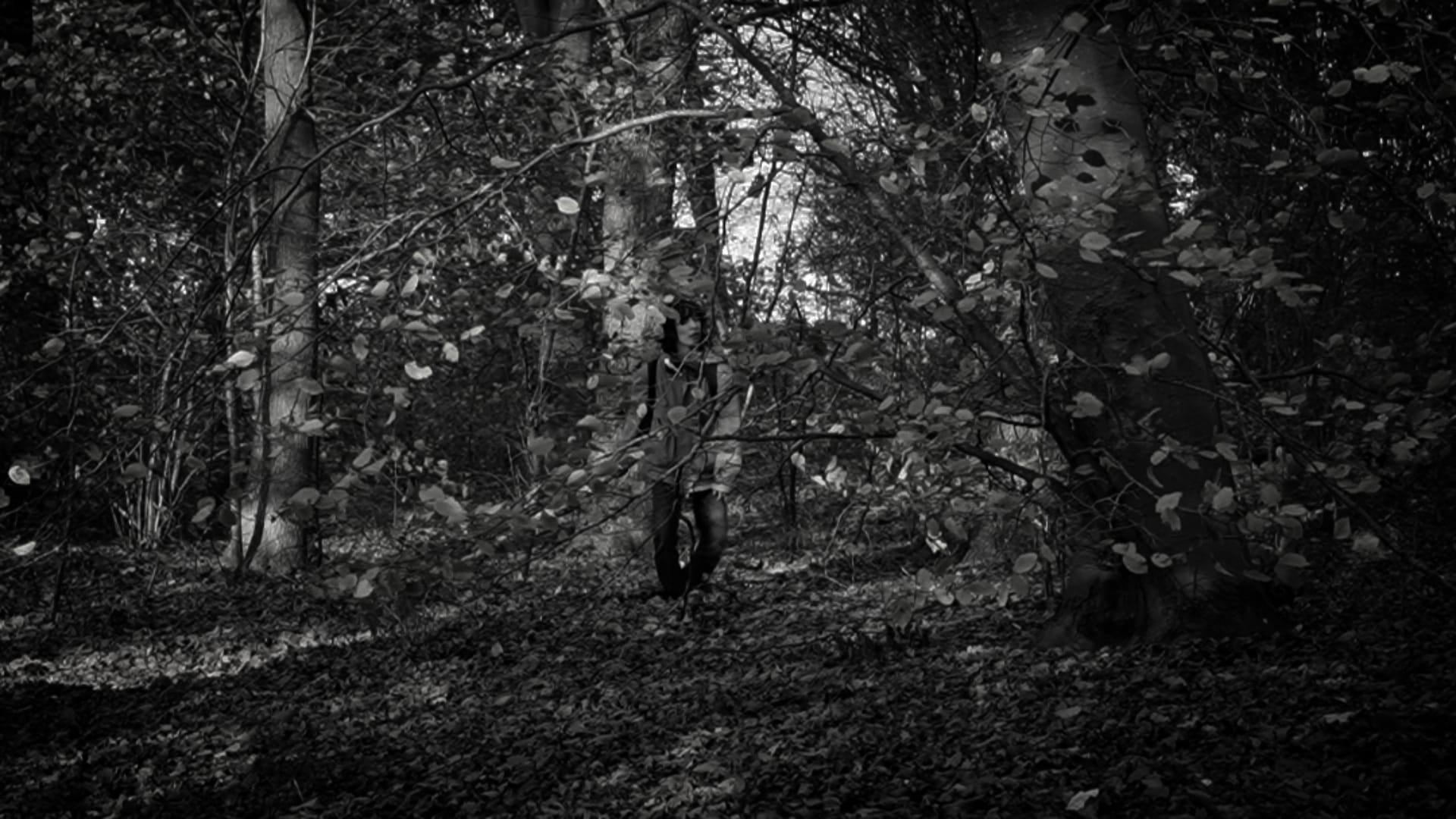the forest of great mystery and emptiness movie scene