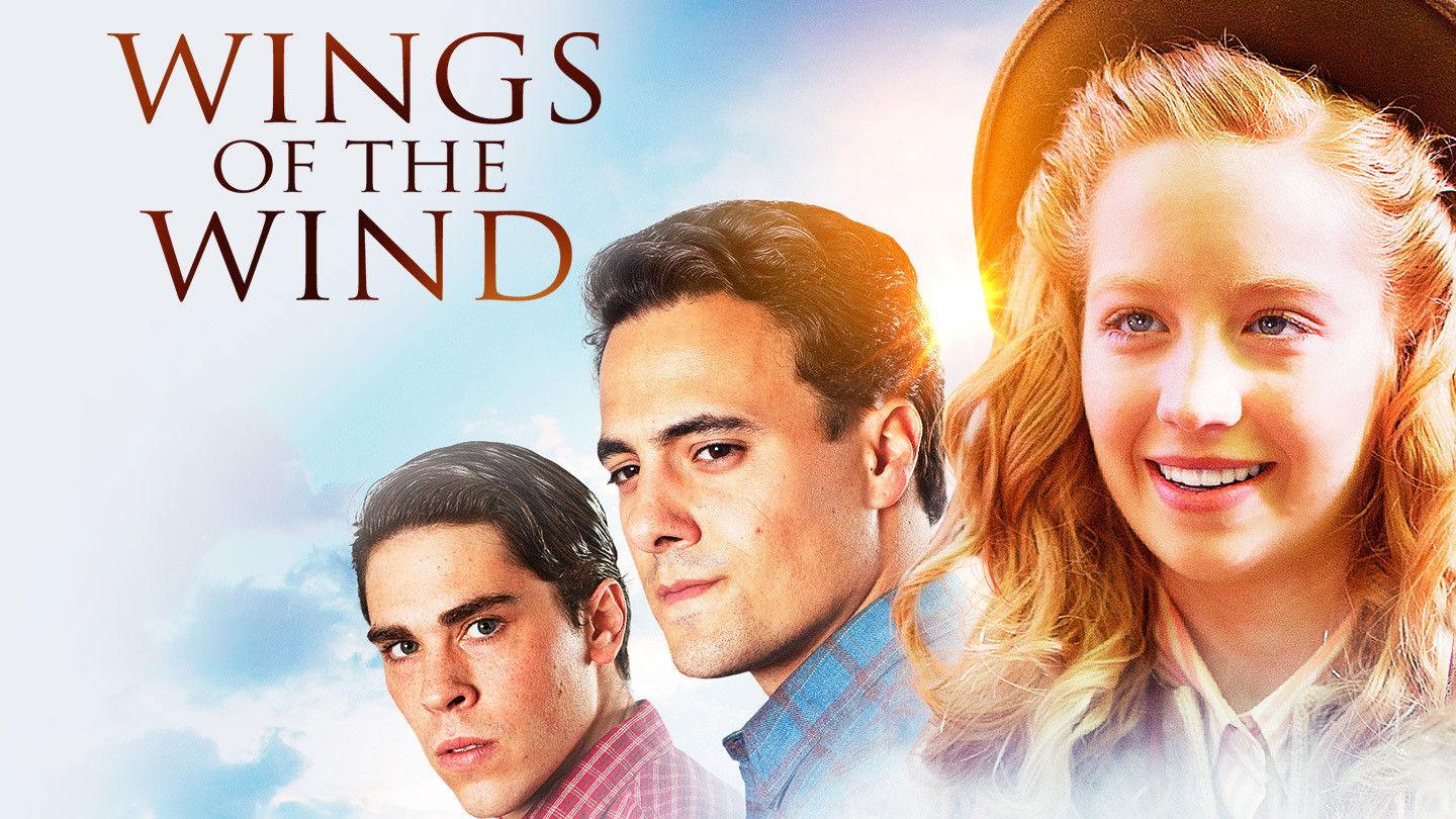 Wings of the Wind 2015 movie scene