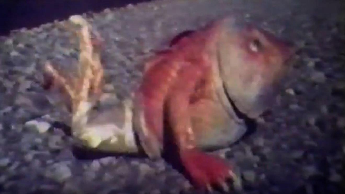 Legend of Heavenly Mother Ma-Tsu 1979 movie scene
