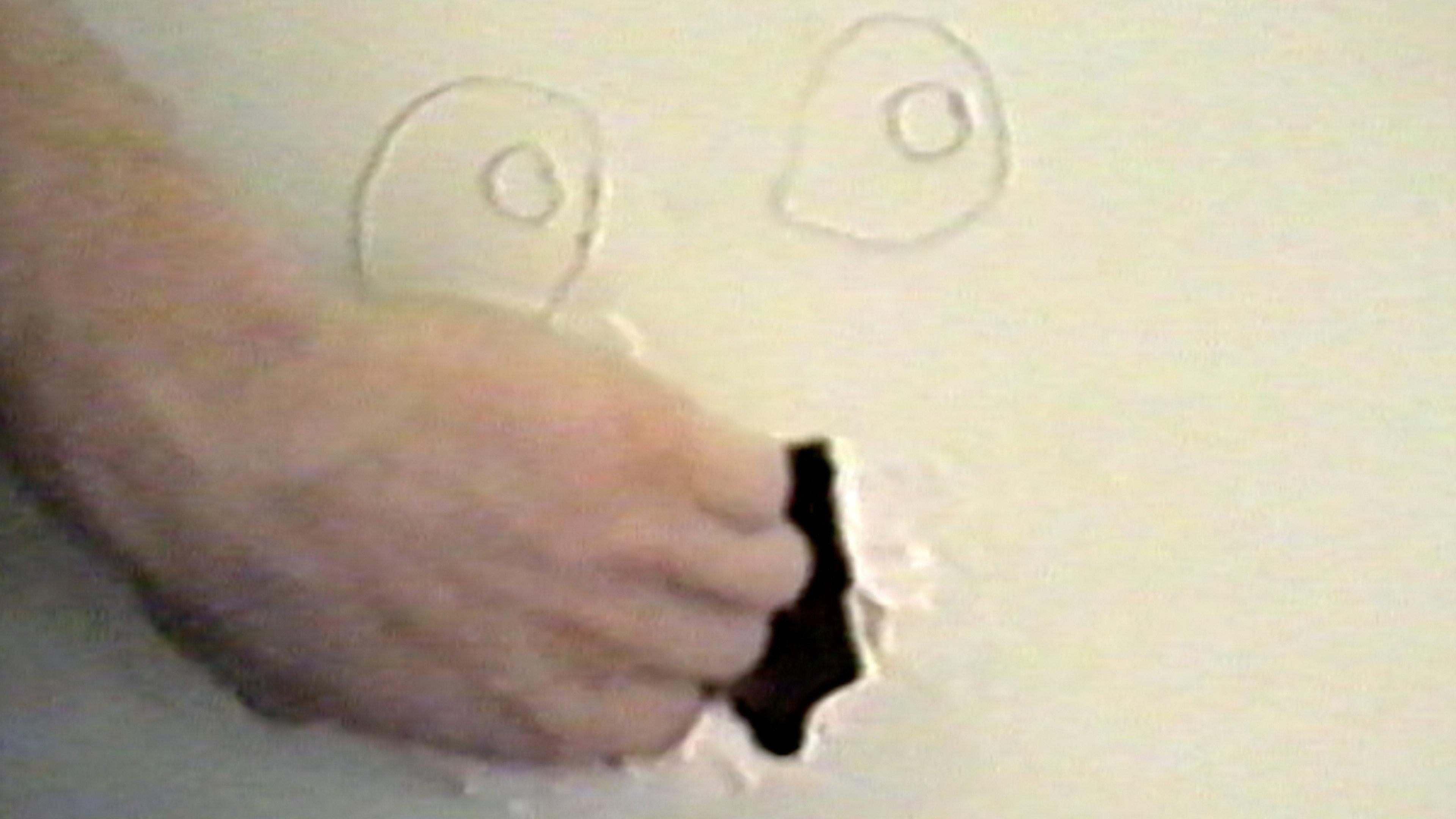 Lenny and the Kitchen People 1993 movie scene