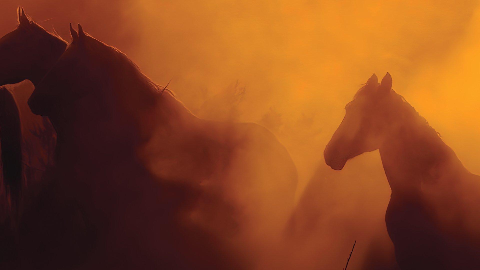 Wild Beauty: Mustang Spirit of the West 2022 movie scene