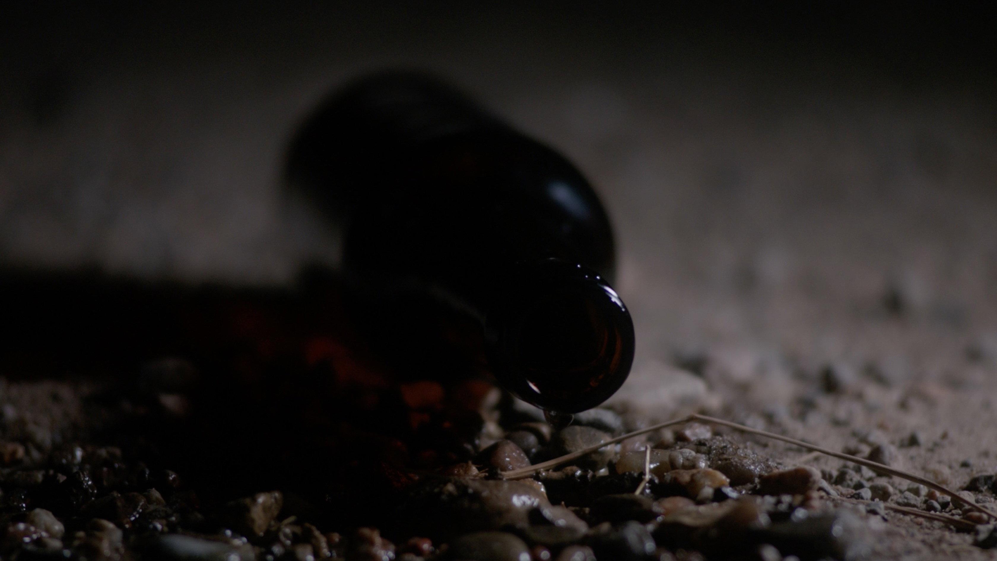 Our Shadow 2025 movie scene