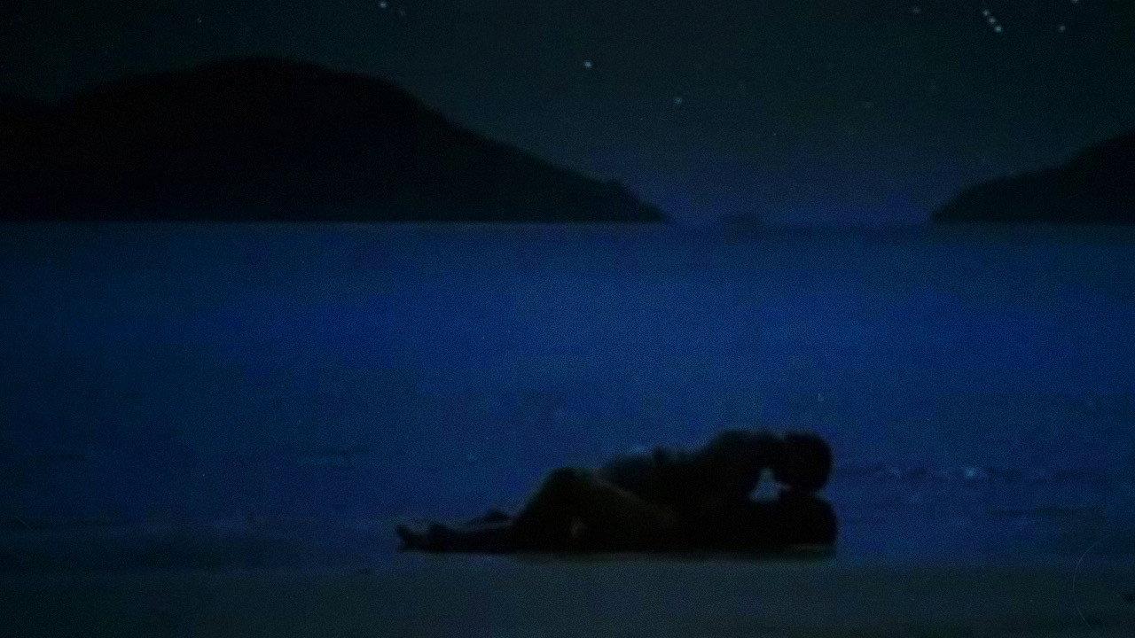 The Dolphin 1987 movie scene