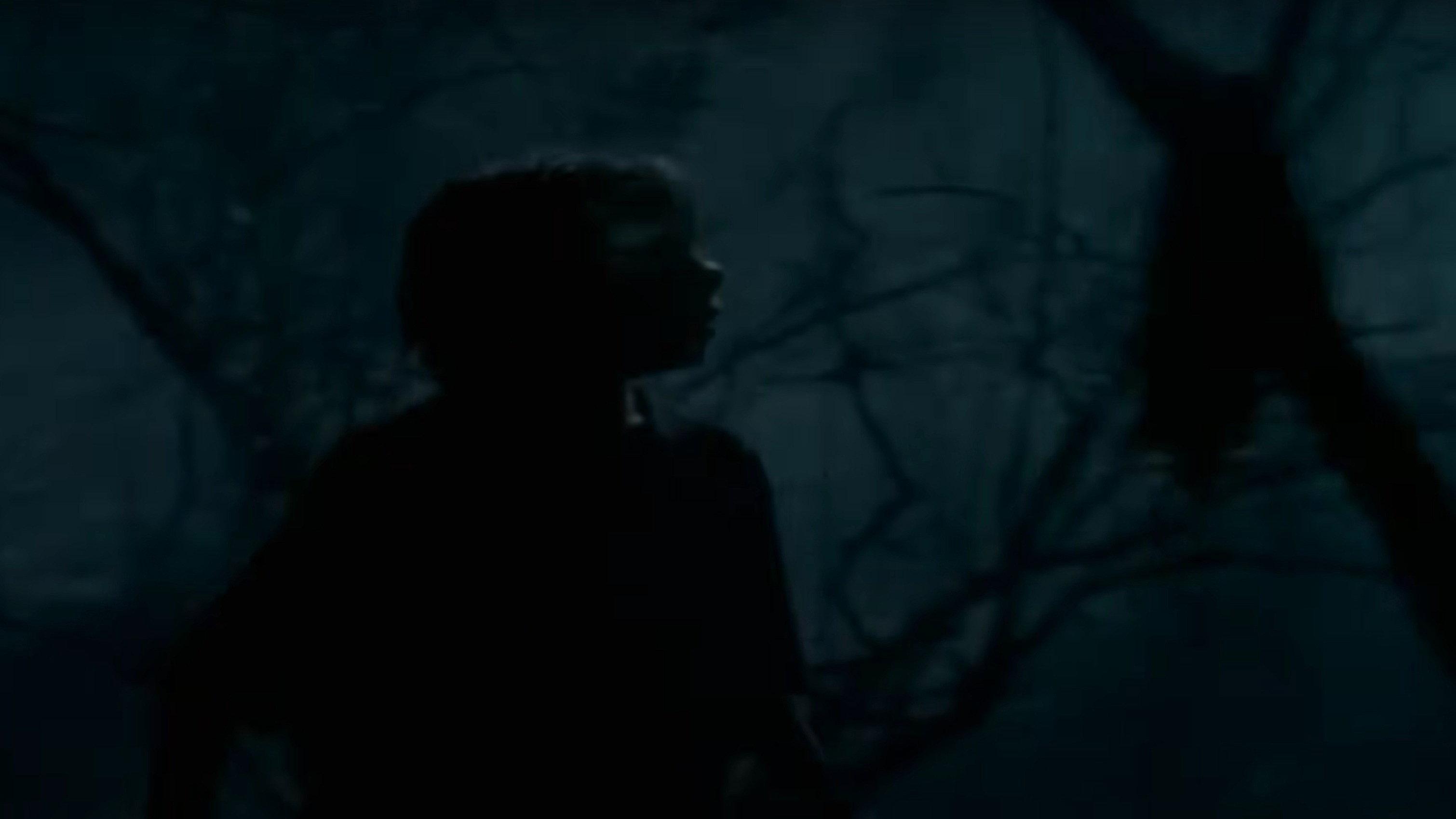 Goosebumps: The Werewolf of Fever Swamp 1996 movie scene
