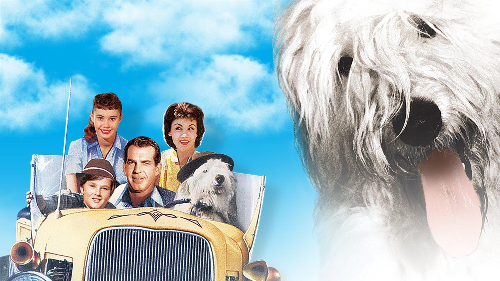 The Shaggy Dog 1959 movie scene