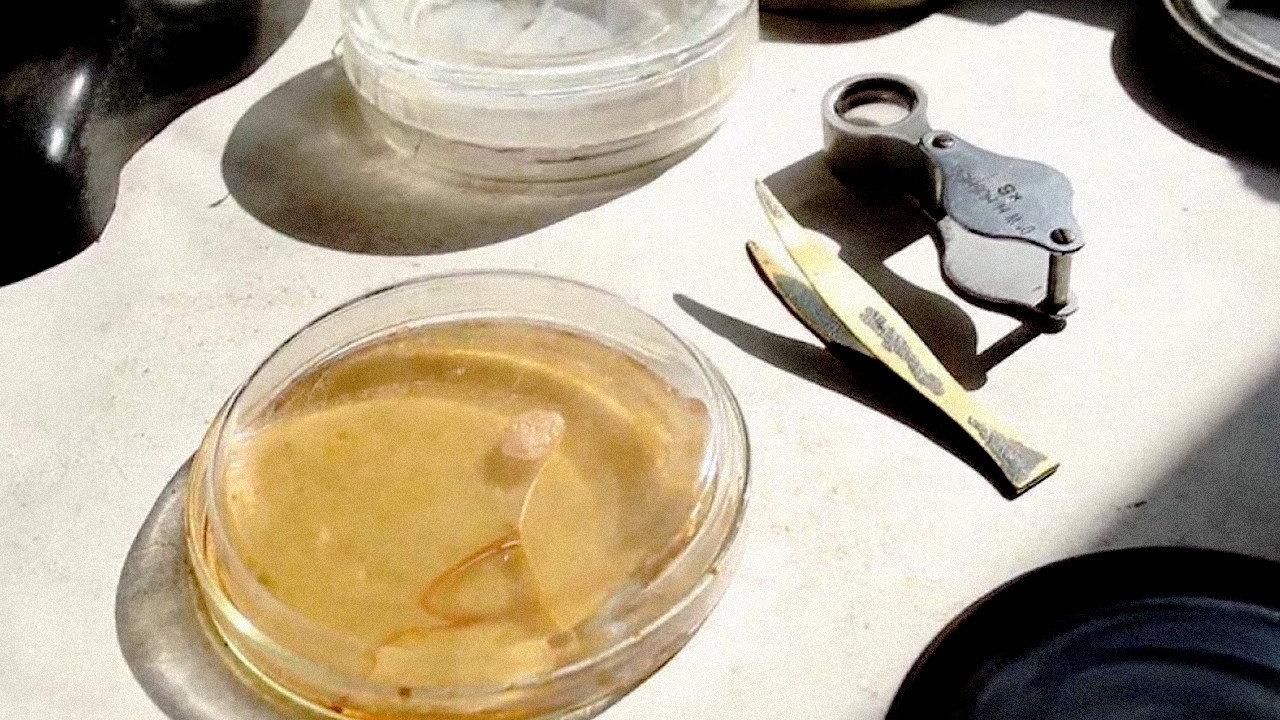 Penicillin: A Medical Revolution 2018 movie scene