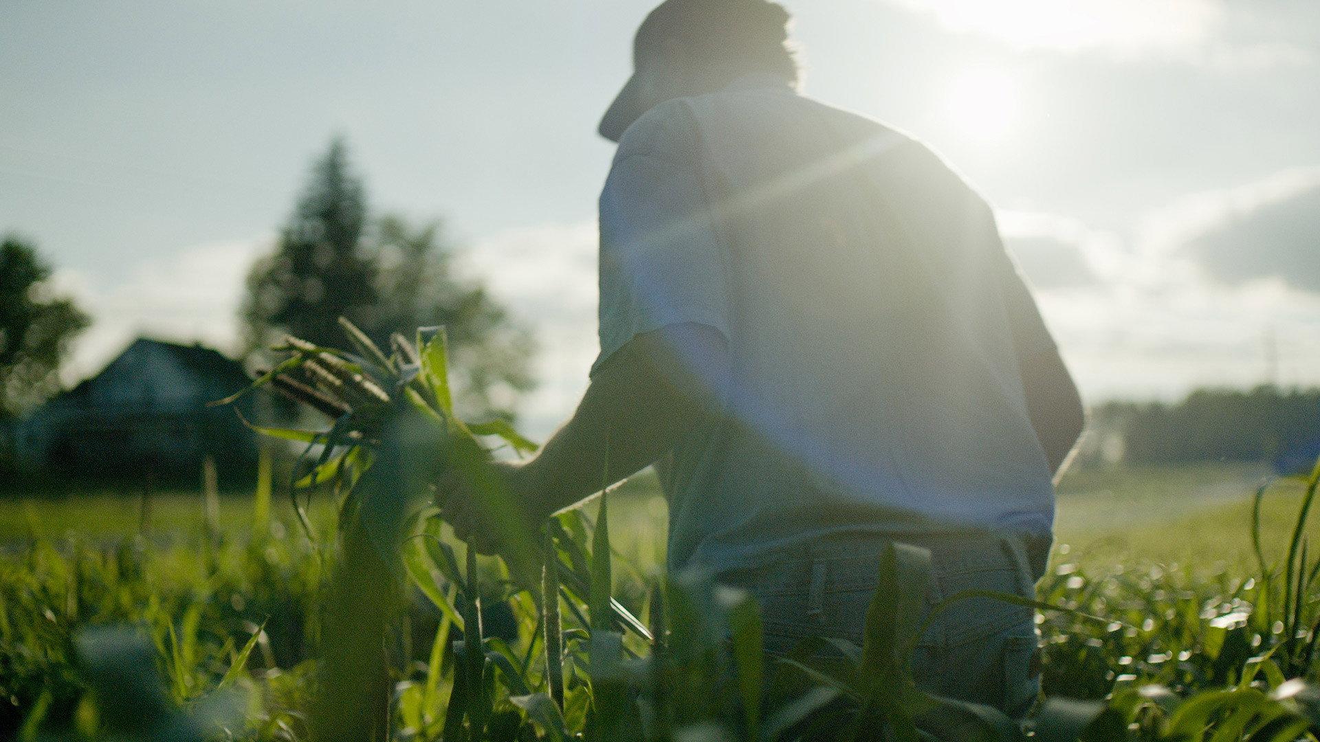 Wasted! The Story of Food Waste 2017 movie scene