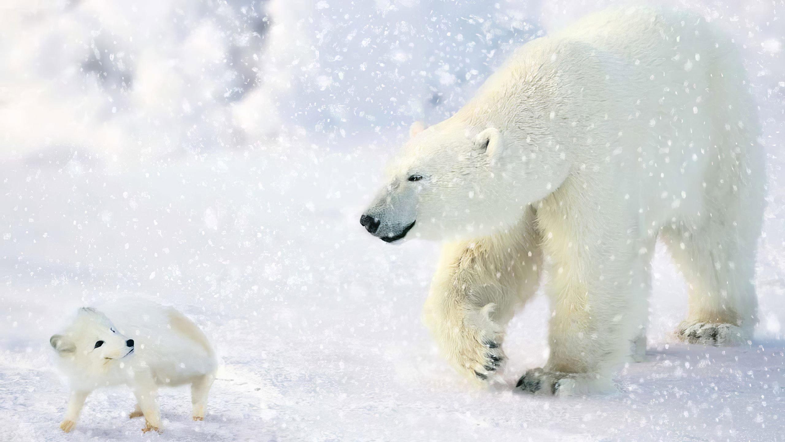 The Great Polar Bear Adventure 2006 movie scene