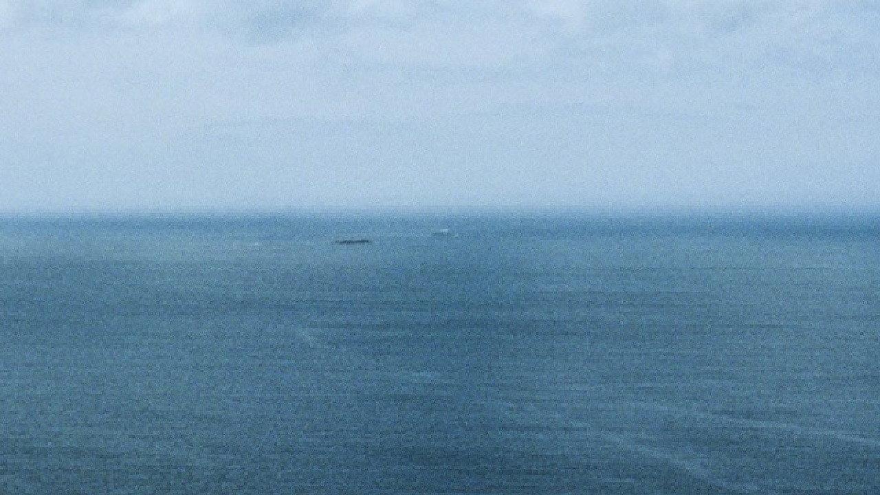 L' Acqua Xe Morta / The Water Is Dead 2025 movie scene