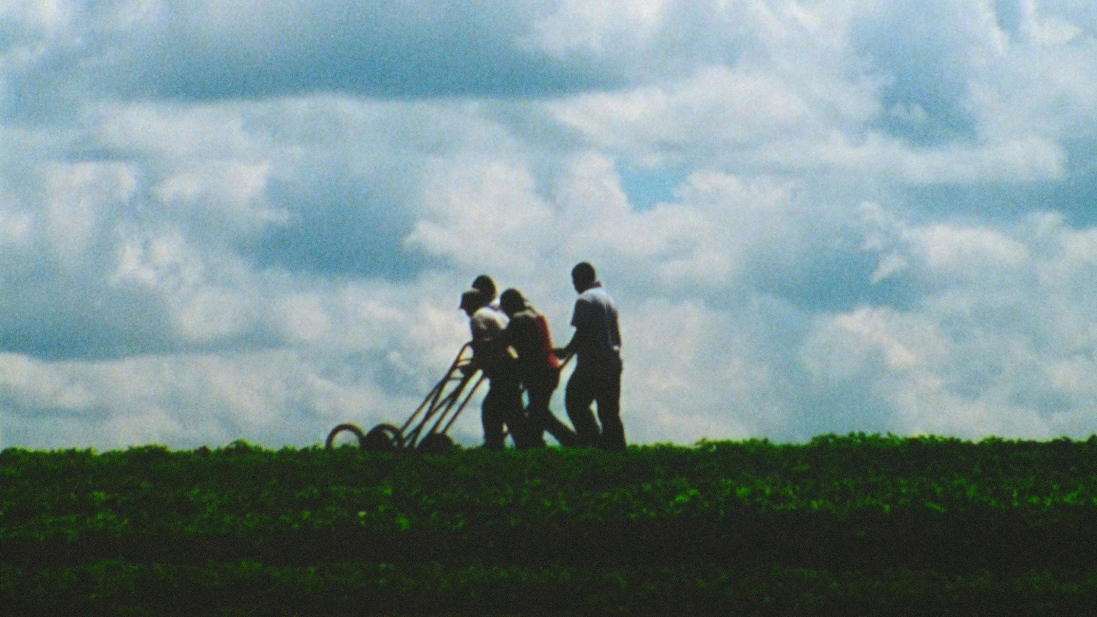 Three Landscapes 2013 movie scene