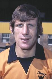 Dave Woodfield as Himself in 1967: When LA Wolves conquered the USA 2023