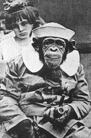 Mrs. Joe Martin as A Chimp in A Prohibition Monkey 1920