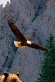 Balderdash as The Eagle in The Legend of Black Thunder Mountain 1979