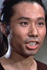 Lei Lung as Feng Yi in Lady with a Sword 1971