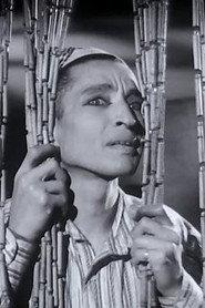 Mounir ElFangary as بائع القمصان in Woman’s enemy 1946