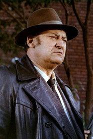 Alfred Freudenheim as Judge in Bal na dworcu w Koluszkach 1990