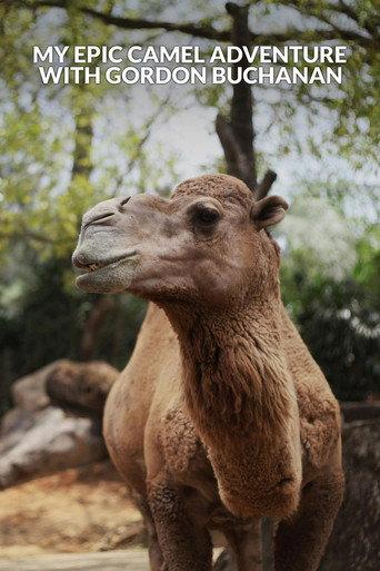 My Epic Camel Adventure With Gordon Buchanan (2024) poster