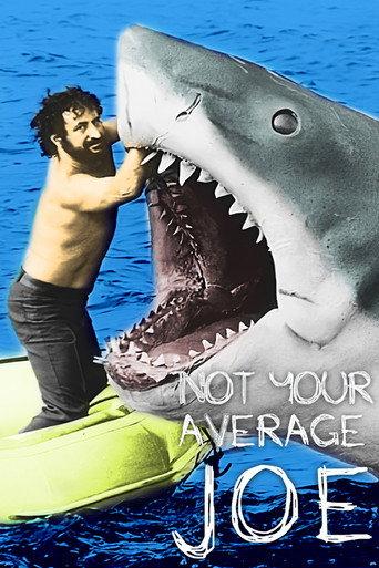 Not Your Average Joe () poster