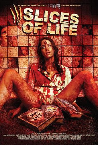 Slices of Life (2010) poster