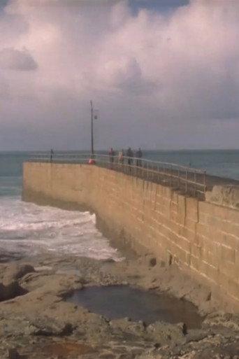 The Cornish Knitting Patterns: Porthleven; St Ives: Background Slip-Stitch; Polperro: Snake cable; The Lizard: Lattice (2016) poster