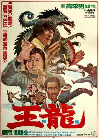 Deadly Kick (1976) poster