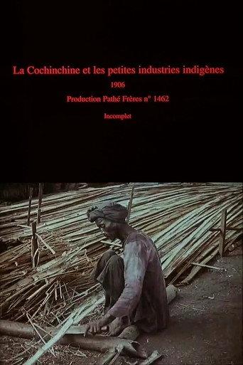 La Cochinchine et les petites industries indigènes (1906) poster