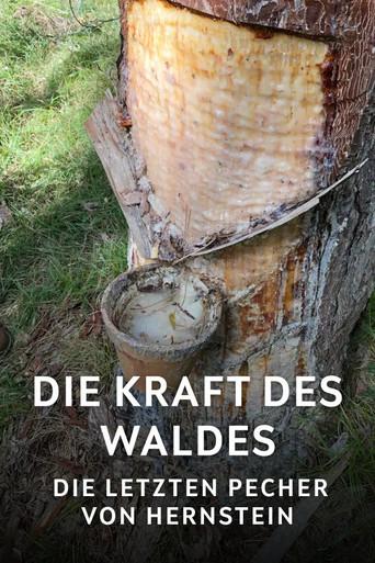 Die Kraft des Waldes - Die letzten Pecher von Hernstein (2025) poster
