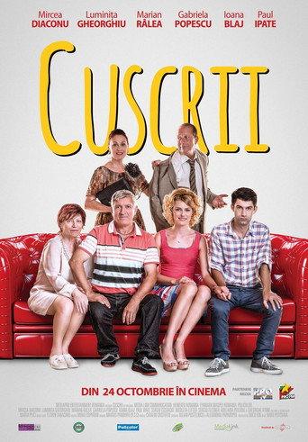 In-laws (2014) poster
