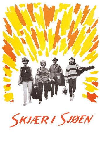 Unexpected Summer (1965) poster