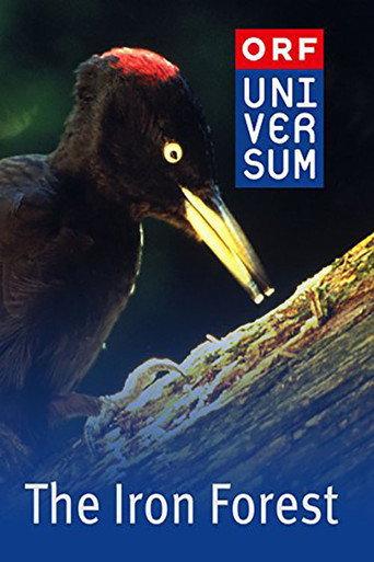 The Iron Forest (1998) poster