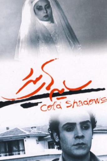 Cold Shadows (2004) poster