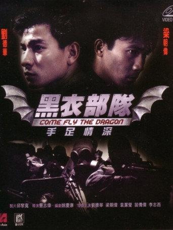 Come Fly the Dragon (1993) poster