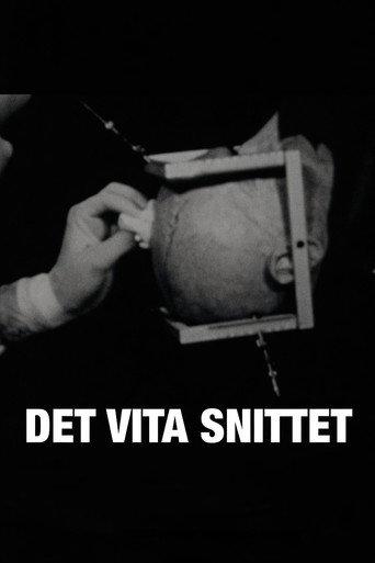 Det vita snittet (2010) poster