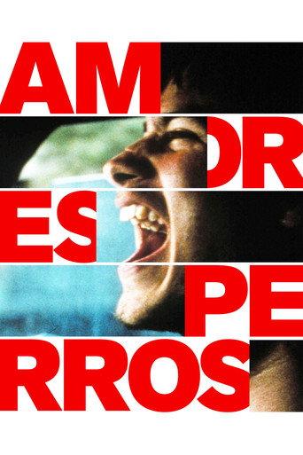 Amores Perros (2000) poster