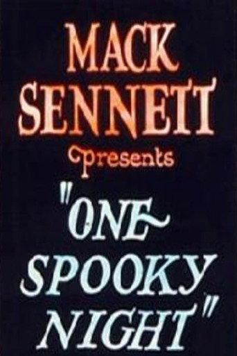 One Spooky Night (1924) poster