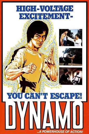 Dynamo (1978) poster