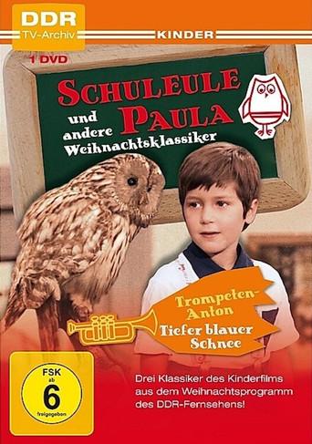 The Owl Paula (1981) poster