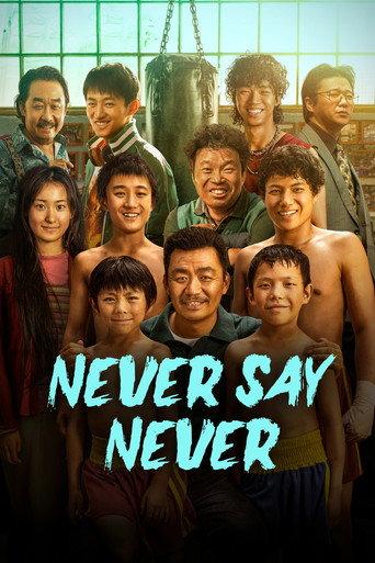 Never Say Never (2023) poster