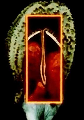 Maternal Language Part 1: The Construction of Maternal Form & its Adaptation to Absent Sexual Vitality (2026) poster