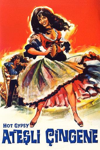 Hot Gypsy (1969) poster