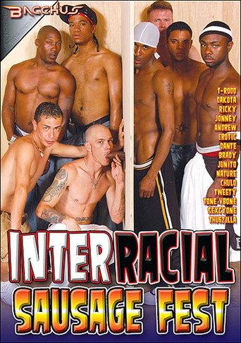 Interracial Sausage Fest 1 (2011) poster