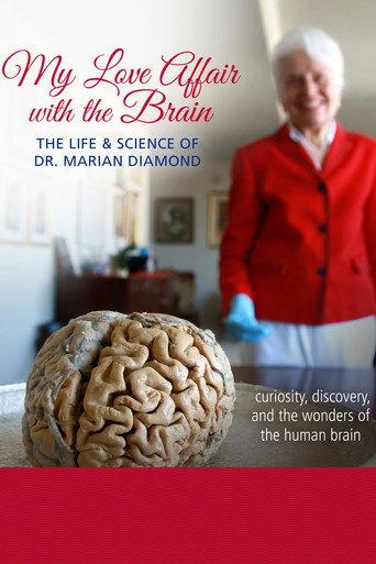My Love Affair with the Brain (2016) poster