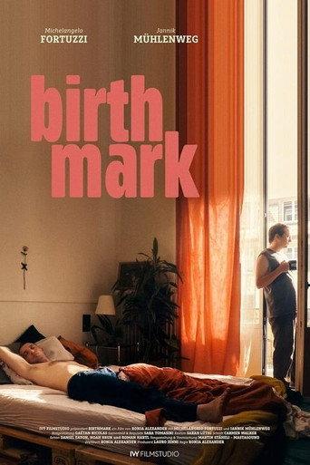 Birthmark () poster