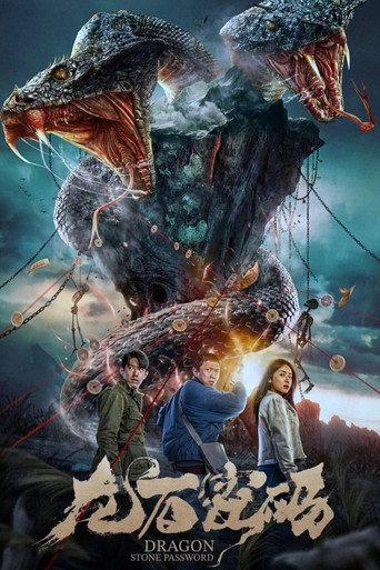 Dragon Stone Password (2024) poster