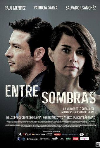 Between Shadows (2015) poster