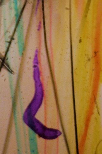 Visions From My Scalp (2023) poster