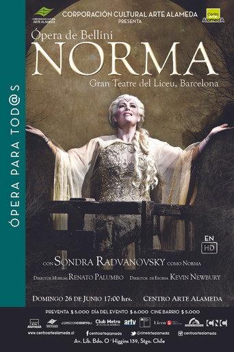 Bellini: Norma (2015) poster