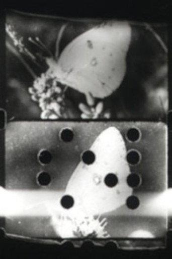 Flutter (1993) poster