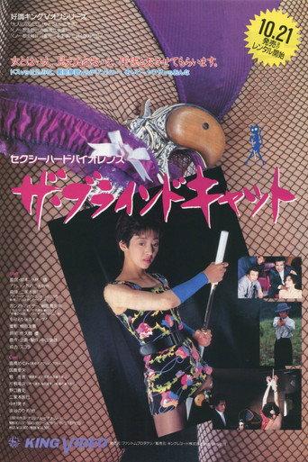 The Blind Cat (1993) poster